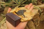 Hand Made Chimpanzee Decoupage on Picture Stone Jasper Stone Slabs - sold per item - From Namibia - Toprock Gemstones and Minerals 