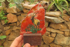 Hand Made African Kudu Buck Decoupage on Brecciated Jasper Stone Slabs - Sold Per Item - From South Africa - Toprock Gemstones and Minerals 