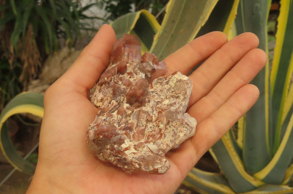 Natural Red Hematoid Quartz Clusters x 8 From Karoi, Zimbabwe - Toprock Gemstones and Minerals 
