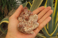 Natural Red Hematoid Quartz Clusters x 8 From Karoi, Zimbabwe