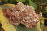 Natural Red Hematoid Quartz Clusters x 8 From Karoi, Zimbabwe