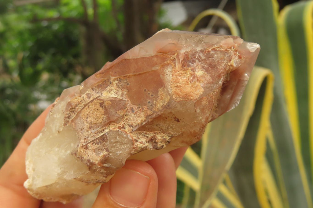 Natural Red Hematoid Quartz Clusters x 8 From Karoi, Zimbabwe - Toprock Gemstones and Minerals 