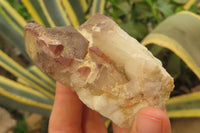 Natural Red Hematoid Quartz Clusters x 8 From Karoi, Zimbabwe