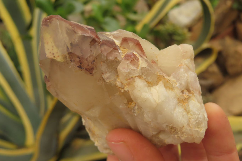 Natural Red Hematoid Quartz Clusters x 8 From Karoi, Zimbabwe - Toprock Gemstones and Minerals 