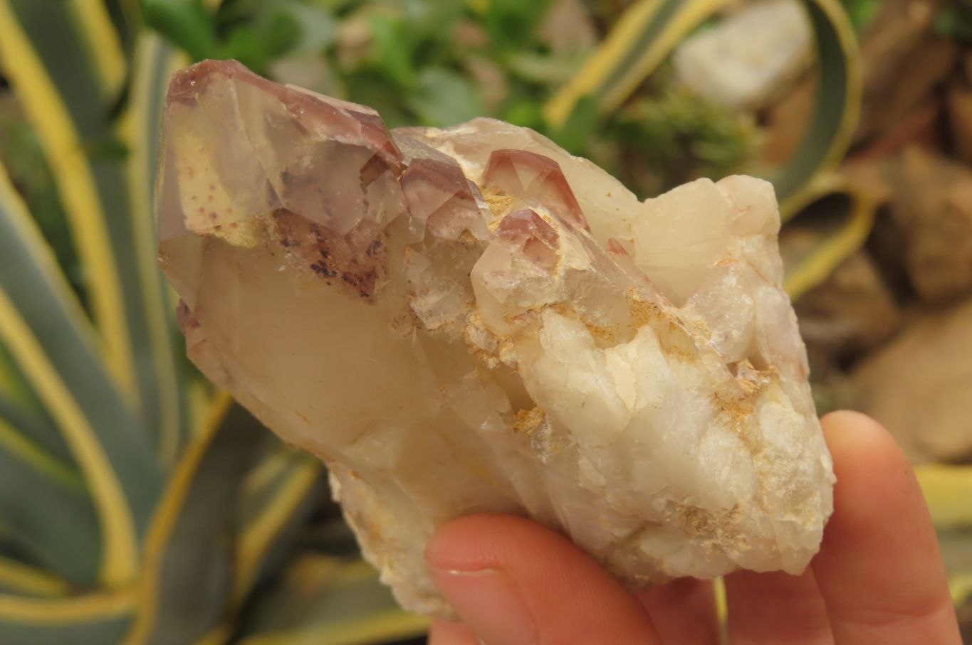 Natural Red Hematoid Quartz Clusters x 8 From Karoi, Zimbabwe - Toprock Gemstones and Minerals 