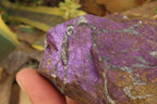 Natural Metallic Purpurite Specimens x 2 From Erongo, Namibia - Toprock Gemstones and Minerals 