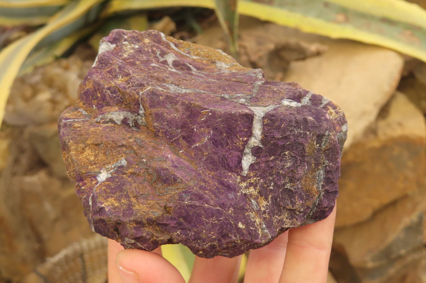 Natural Metallic Purpurite Specimens x 2 From Erongo, Namibia - Toprock Gemstones and Minerals 