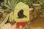 Hand Made Chimpanzee Decoupage on Butter Jade Stone Slabs - sold per item - From South Africa - Toprock Gemstones and Minerals 