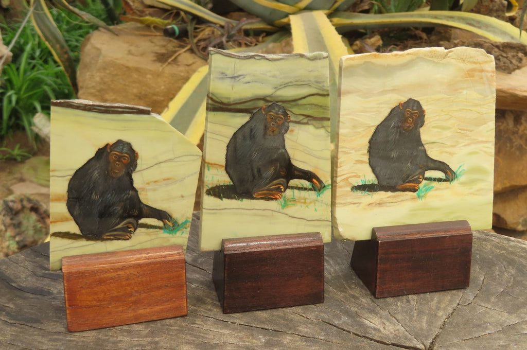 Hand Made Chimpanzee Decoupage on Butter Jade Stone Slabs - sold per item - From South Africa - Toprock Gemstones and Minerals 