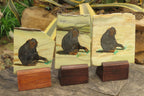 Hand Made Chimpanzee Decoupage on Butter Jade Stone Slabs - sold per item - From South Africa - Toprock Gemstones and Minerals 