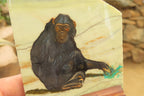 Hand Made Chimpanzee Decoupage on Butter Jade Stone Slabs - sold per item - From South Africa - Toprock Gemstones and Minerals 