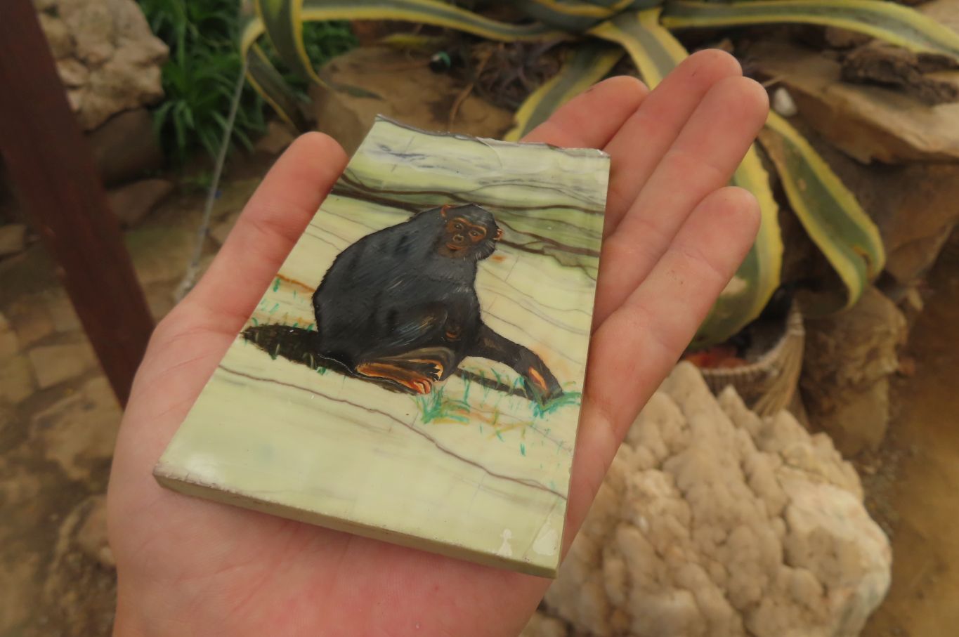 Hand Made Chimpanzee Decoupage on Butter Jade Stone Slabs - sold per item - From South Africa - Toprock Gemstones and Minerals 