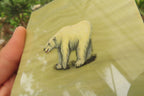Hand Made Polar Bear Decoupage on Butter Jade Stone Slabs - sold per item - From South Africa - Toprock Gemstones and Minerals 