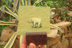 Hand Made Polar Bear Decoupage on Butter Jade Stone Slabs - sold per item - From South Africa - Toprock Gemstones and Minerals 