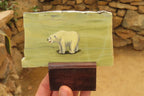 Hand Made Polar Bear Decoupage on Butter Jade Stone Slabs - sold per item - From South Africa - Toprock Gemstones and Minerals 