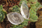 Polished Clear Quartz "Angel Tears" Pendant Pieces x 40 From Madagascar - Toprock Gemstones and Minerals 