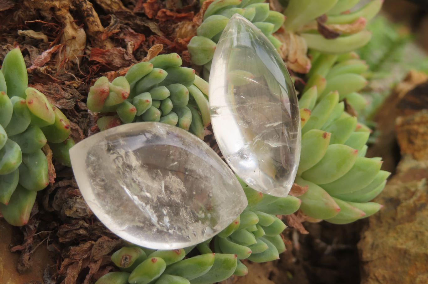 Polished Clear Quartz "Angel Tears" Pendant Pieces x 40 From Madagascar - Toprock Gemstones and Minerals 