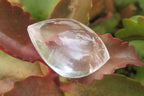 Polished Clear Quartz "Angel Tears" Pendant Pieces x 40 From Madagascar - Toprock Gemstones and Minerals 