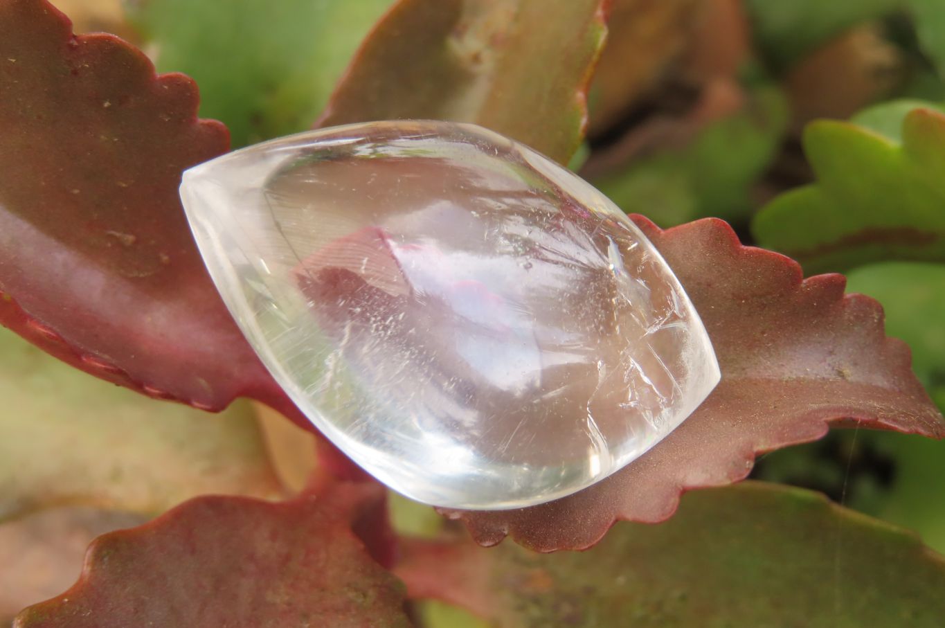 Polished Clear Quartz "Angel Tears" Pendant Pieces x 40 From Madagascar - Toprock Gemstones and Minerals 