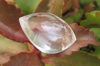 Polished Clear Quartz "Angel Tears" Pendant Pieces x 40 From Madagascar - Toprock Gemstones and Minerals 