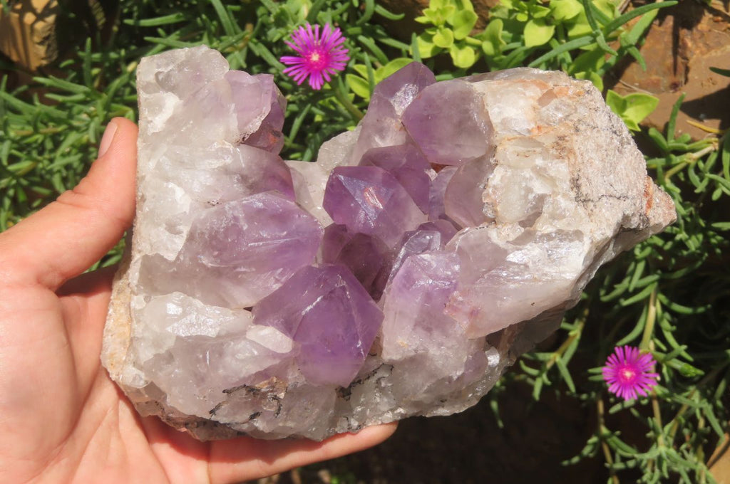 Natural Jacaranda Amethyst Quartz Cluster x 1 from Mumbwa, Zambia - Toprock Gemstones and Minerals 