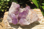 Natural Jacaranda Amethyst Quartz Cluster x 1 from Mumbwa, Zambia - Toprock Gemstones and Minerals 