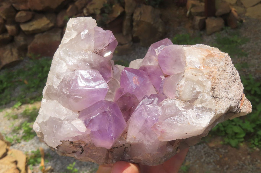 Natural Jacaranda Amethyst Quartz Cluster x 1 from Mumbwa, Zambia - Toprock Gemstones and Minerals 