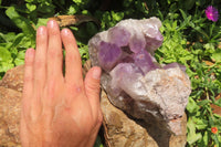 Natural Jacaranda Amethyst Quartz Cluster x 1 from Mumbwa, Zambia - Toprock Gemstones and Minerals 