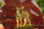 Hand Made African Kudu Buck Decoupage on Tiger Iron Jasper Stone Slabs - Sold Per Item - From Australia - Toprock Gemstones and Minerals 