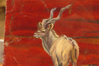 Hand Made African Kudu Buck Decoupage on Tiger Iron Jasper Stone Slabs - Sold Per Item - From Australia - Toprock Gemstones and Minerals 