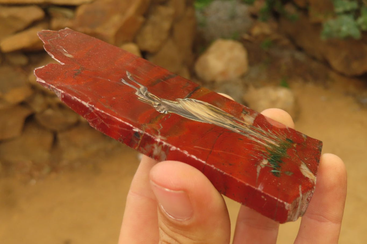 Hand Made African Kudu Buck Decoupage on Tiger Iron Jasper Stone Slabs - Sold Per Item - From Australia - Toprock Gemstones and Minerals 