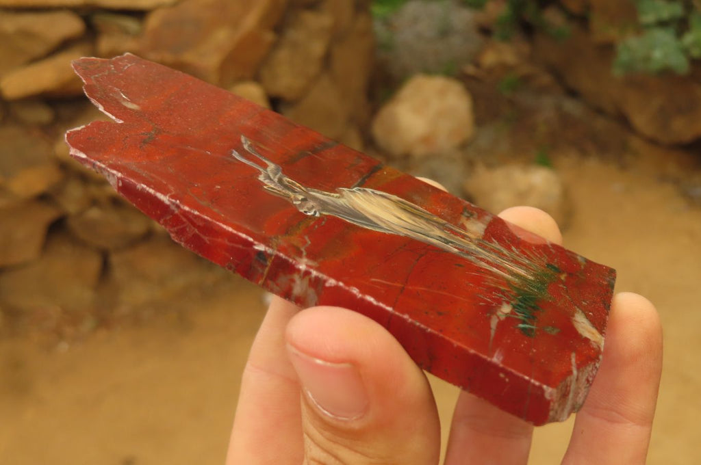 Hand Made African Kudu Buck Decoupage on Tiger Iron Jasper Stone Slabs - Sold Per Item - From Australia - Toprock Gemstones and Minerals 