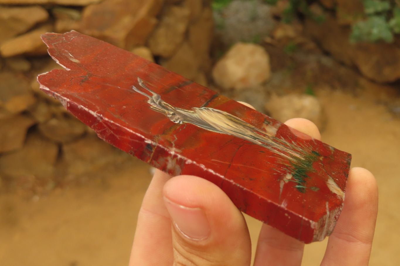 Hand Made African Kudu Buck Decoupage on Tiger Iron Jasper Stone Slabs - Sold Per Item - From Australia - Toprock Gemstones and Minerals 