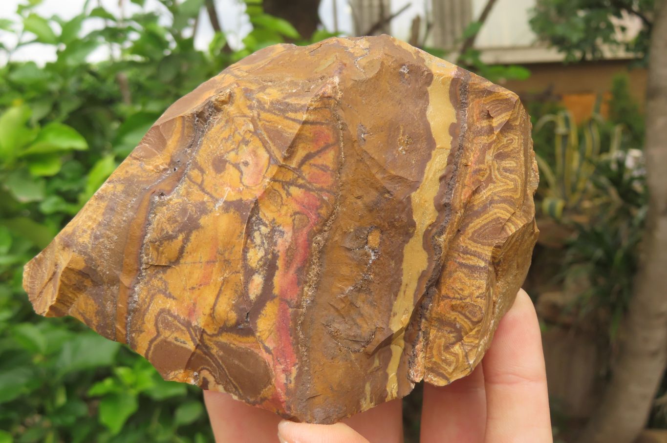 Natural Nguni Jasper Cobbed Specimens x 7 From Prieska, South Africa - Toprock Gemstones and Minerals 