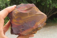 Natural Nguni Jasper Cobbed Specimens x 7 From Prieska, South Africa - Toprock Gemstones and Minerals 