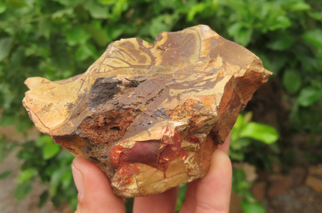 Natural Nguni Jasper Cobbed Specimens x 7 From Prieska, South Africa - Toprock Gemstones and Minerals 