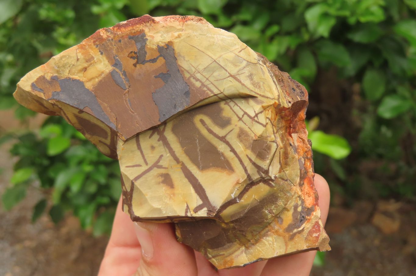 Natural Nguni Jasper Cobbed Specimens x 7 From Prieska, South Africa - Toprock Gemstones and Minerals 