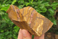 Natural Nguni Jasper Cobbed Specimens x 7 From Prieska, South Africa - Toprock Gemstones and Minerals 