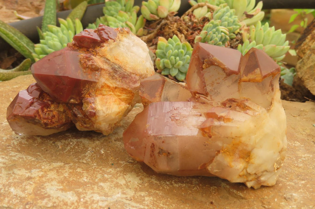 Natural Red Hematoid Quartz Clusters x 4 From Karoi, Zimbabwe - Toprock Gemstones and Minerals 