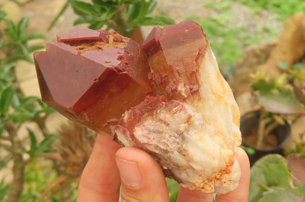 Natural Red Hematoid Quartz Clusters x 4 From Karoi, Zimbabwe