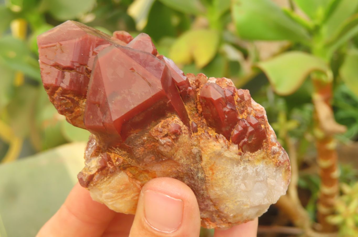 Natural Red Hematoid Quartz Clusters x 4 From Karoi, Zimbabwe - Toprock Gemstones and Minerals 