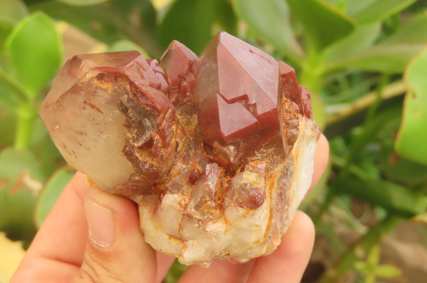 Natural Red Hematoid Quartz Clusters x 4 From Karoi, Zimbabwe - Toprock Gemstones and Minerals 