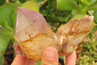 Natural Red Hematoid Quartz Clusters x 4 From Karoi, Zimbabwe