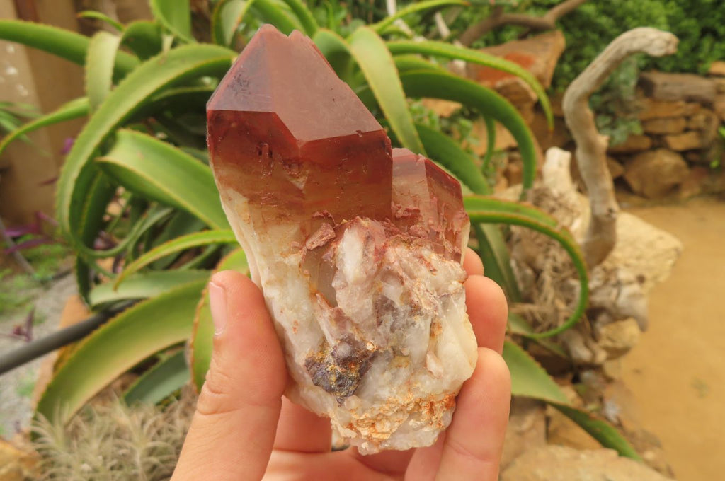 Natural Red Hematoid Quartz Clusters x 4 From Karoi, Zimbabwe - Toprock Gemstones and Minerals 