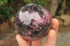 Polished Rhodonite Spheres x 4 From Madagascar - Toprock Gemstones and Minerals 