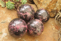 Polished Rhodonite Spheres x 4 From Madagascar - Toprock Gemstones and Minerals 