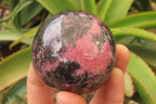 Polished Rhodonite Spheres x 4 From Madagascar - Toprock Gemstones and Minerals 