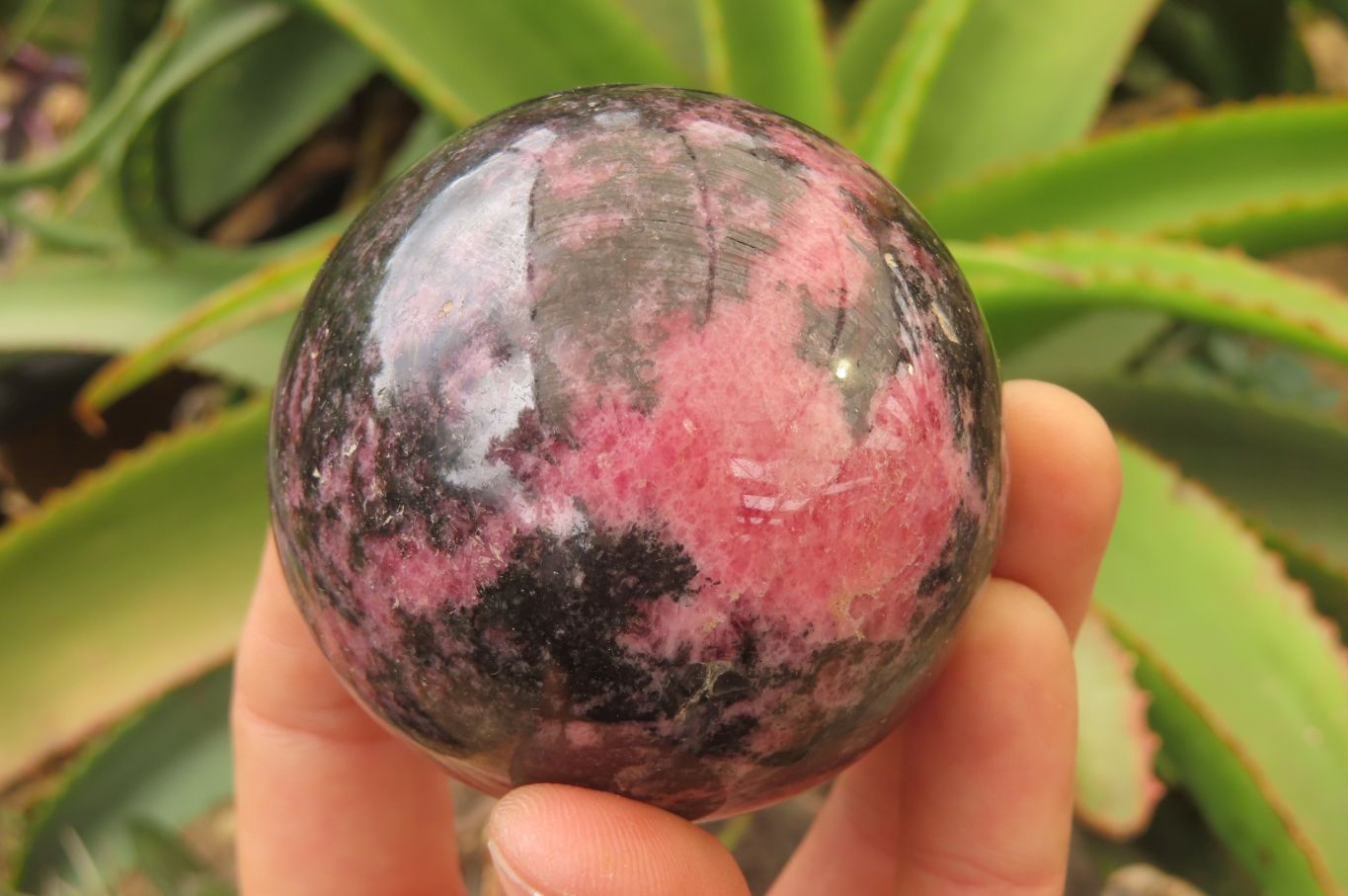 Polished Rhodonite Spheres x 4 From Madagascar - Toprock Gemstones and Minerals 