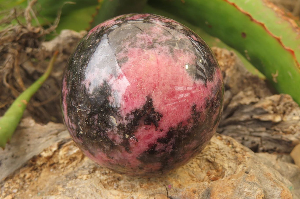 Polished Rhodonite Spheres x 4 From Madagascar - Toprock Gemstones and Minerals 