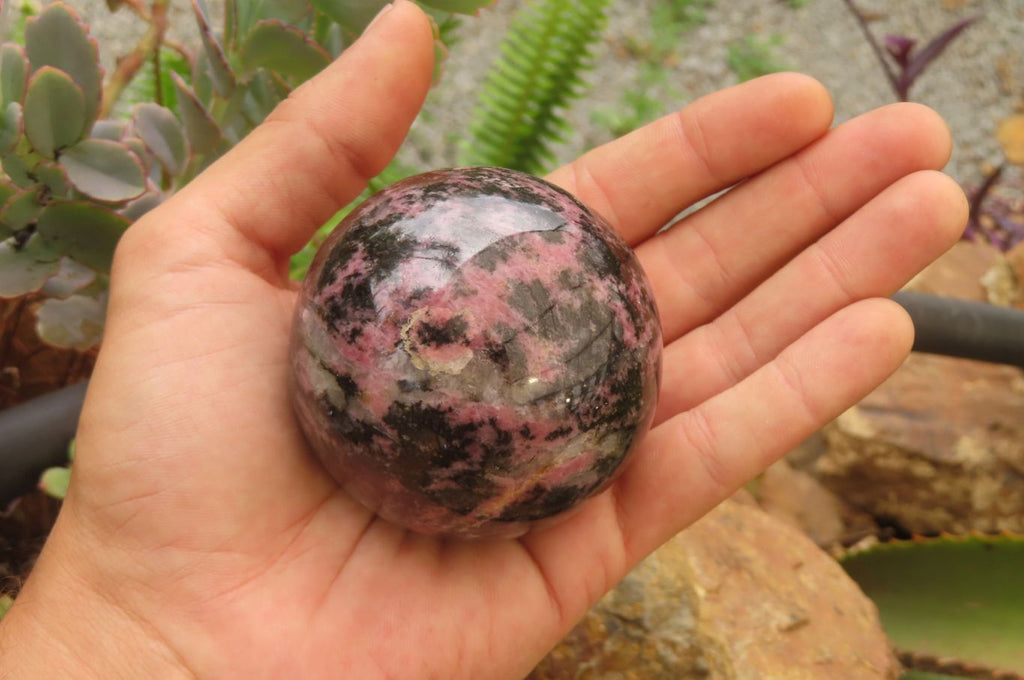 Polished Rhodonite Spheres x 4 From Madagascar - Toprock Gemstones and Minerals 